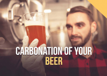 Carbonation of your beer 