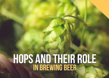 Hops and their role in brewing beer