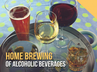 Home brewing of alcoholic beverages